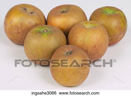 Triangle of apples View Large Photo Image Stock Photograph - Triangle of apples . Fotosearch