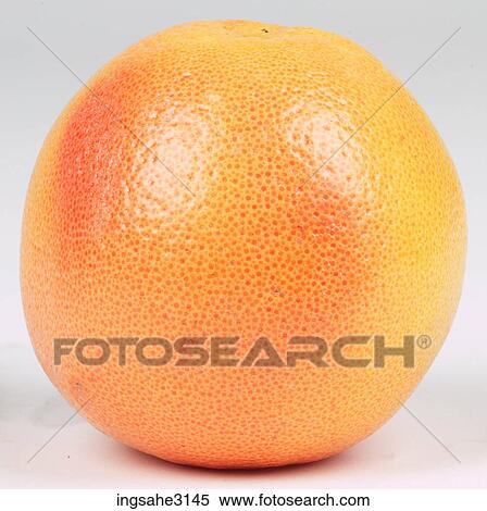 whole grapefruit View Large Photo Image Stock Photography - whole grapefruit . Fotosearch