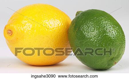 yellow and green lemons View Large Photo Image Stock Image - yellow and green lemons . Fotosearch