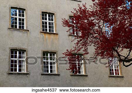 Autumn leaves beside building View Large Photo Image Stock Photo - Autumn leaves beside building . Fotosearch
