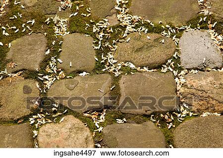 Flagstone walkway View Large Photo Image Stock Photo - Flagstone walkway . Fotosearch