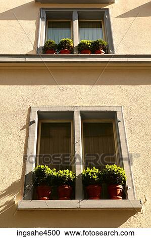 Houseplants on windowsills View Large Photo Image Stock Image - Houseplants on windowsills . Fotosearch