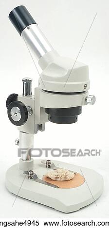 Microscope View Large Photo Image Stock Photography - Microscope . Fotosearch