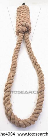 Rope tied into noose View Large Photo Image Picture - Rope tied into noose . Fotosearch