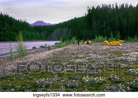 Camping on the Nizinna River in Alaska View Large Photo Image Picture - Camping on the Nizinna River in Alaska. Fotosearch