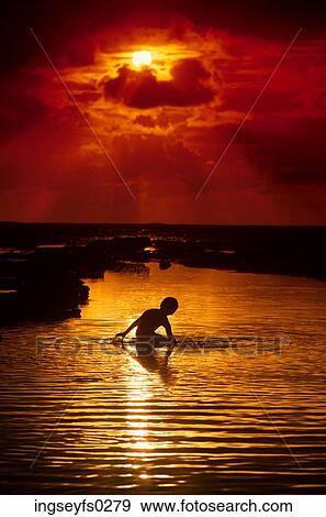Child by the Ocean at Sunset View Large Photo Image Stock Photo - Child by the Ocean at Sunset. Fotosearch