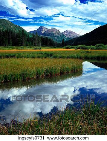 Christmas Meadow Utah View Large Photo Image Stock Image - Christmas Meadow Utah. Fotosearch