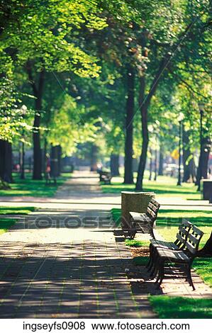City Park Benches Portland Oregon View Large Photo Image Stock Photo - City Park Benches Portland Oregon. Fotosearch