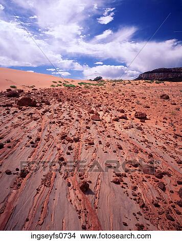 Coral Pink State Park Utah View Large Photo Image Picture - Coral Pink State Park Utah. Fotosearch