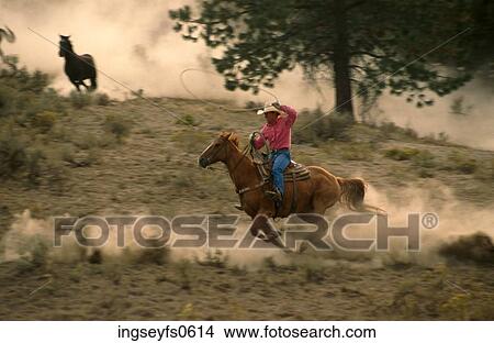 Cowboy and Lasso View Large Photo Image Picture - Cowboy and Lasso. Fotosearch