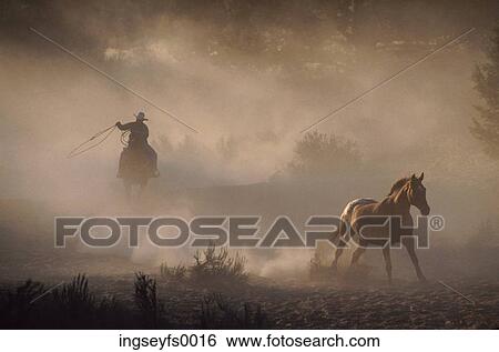 Cowboy Chasing Wild Horse View Large Photo Image Stock Photograph - Cowboy Chasing Wild Horse. Fotosearch