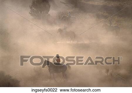 Cowboy During a Roundup View Large Photo Image Stock Image - Cowboy During a Roundup. Fotosearch