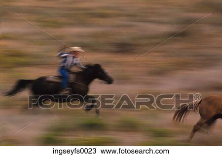 Stock Image - Cowboy Lassoing Wild Horse. Fotosearch