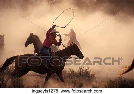 Cowboys Roping Horses View Large Photo Image Stock Photo - Cowboys Roping Horses. Fotosearch