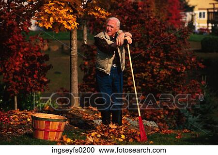 Fall Chore View Large Photo Image Stock Image - Fall Chore. Fotosearch