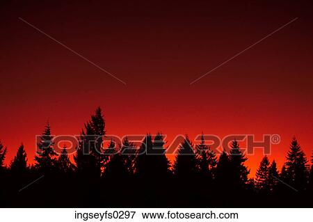 Fire Sky View Large Photo Image Stock Photo - Fire Sky. Fotosearch