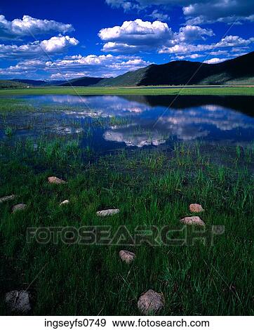 Fishlake National Forest Utah View Large Photo Image Stock Photo - Fishlake National Forest Utah. Fotosearch