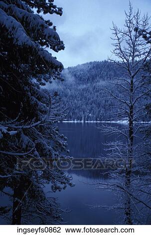 Forest Lake in Winter View Large Photo Image Stock Image - Forest Lake in Winter. Fotosearch