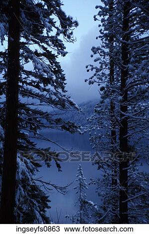 Forest Lake in Winter View Large Photo Image Stock Image - Forest Lake in Winter. Fotosearch