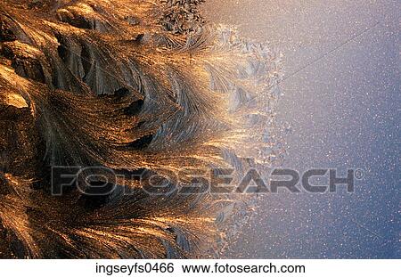 Frost View Large Photo Image Stock Photograph - Frost. Fotosearch