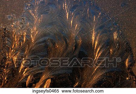 Frost View Large Photo Image Stock Photography - Frost. Fotosearch