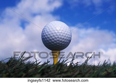 Golf Ball on Tee View Large Photo Image Stock Image - Golf Ball on Tee. Fotosearch