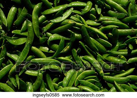 Green Beans View Large Photo Image Stock Photography - Green Beans. Fotosearch