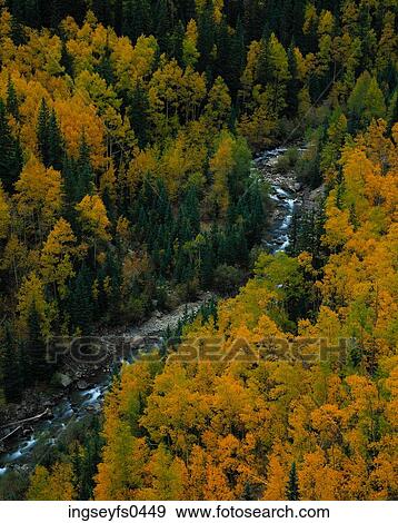 Stock Photo - Gunnison River. Fotosearch