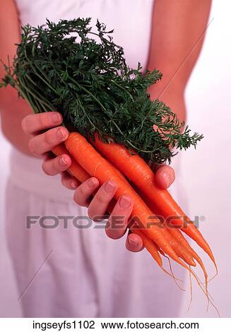 Hands Holding Carrots View Large Photo Image Stock Image - Hands Holding Carrots. Fotosearch