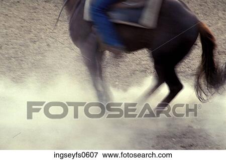 Stock Photo - Horse Legs. Fotosearch