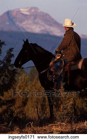 Horseback Riding in the Mountains View Large Photo Image Stock Image - Horseback Riding in the Mountains. Fotosearch