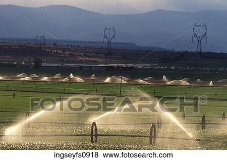 Irrigating a Field View Large Photo Image Stock Photo - Irrigating a Field. Fotosearch