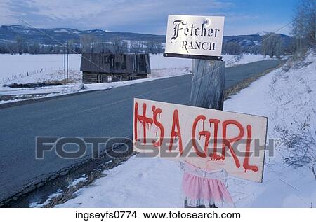 It's a Girl View Large Photo Image Picture - It's a Girl. Fotosearch