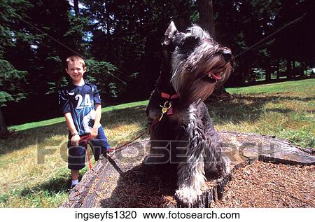 Little Boy Playing With Dog on Leash View Large Photo Image Stock Image - Little Boy Playing With Dog on Leash. Fotosearch
