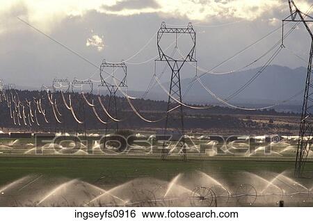 Long Row of Power Lines View Large Photo Image Stock Photograph - Long Row of Power Lines. Fotosearch