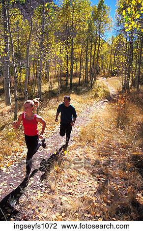 Man and Woman Jogging Through Aspens View Large Photo Image Stock Image - Man and Woman Jogging Through Aspens. Fotosearch