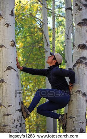 Stock Photo - Man Climbing Wedged Between Two Trees. Fotosearch