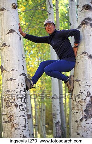 Man Posing Wedged Between Two Trees View Large Photo Image Stock Image - Man Posing Wedged Between Two Trees. Fotosearch