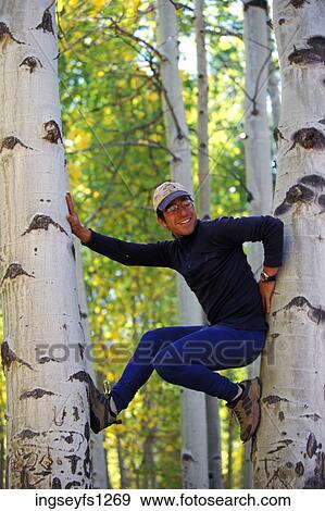Man Posing Wedged Between Two Trees View Large Photo Image Stock Photo - Man Posing Wedged Between Two Trees. Fotosearch