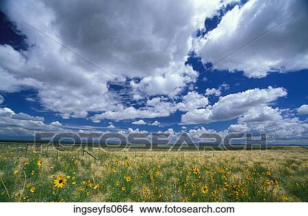 Meadow View Large Photo Image Picture - Meadow. Fotosearch