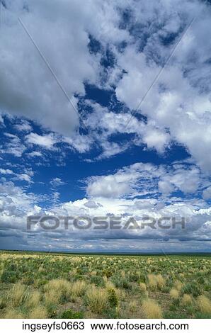 Meadow View Large Photo Image Stock Image - Meadow. Fotosearch