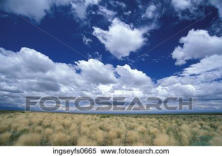 Meadow View Large Photo Image Stock Photography - Meadow. Fotosearch