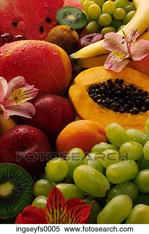 Misty Tropical Fruit View Large Photo Image Stock Photography - Misty Tropical Fruit. Fotosearch
