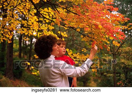 Mother and Son View Large Photo Image Stock Image - Mother and Son. Fotosearch