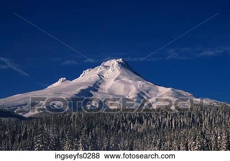 Mount Hood Oregon View Large Photo Image Stock Photo - Mount Hood Oregon. Fotosearch
