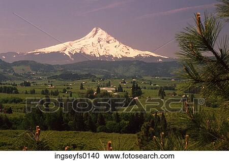 Mount Hood Valley View Large Photo Image Stock Image - Mount Hood Valley. Fotosearch