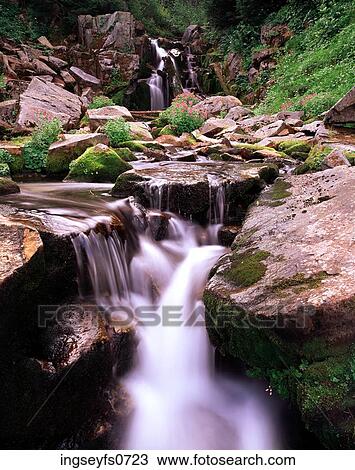 Mount Rainier National Park View Large Photo Image Stock Image - Mount Rainier National Park. Fotosearch