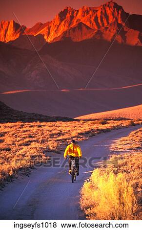 Mountain Biking at Sunset View Large Photo Image Stock Photo - Mountain Biking at Sunset. Fotosearch