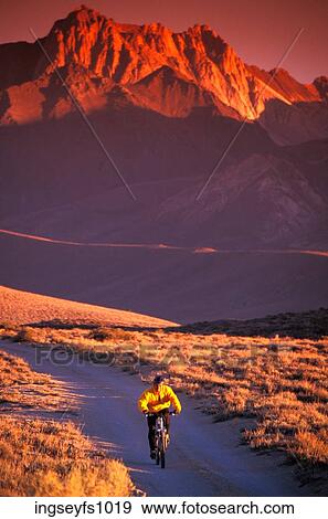Mountain Biking at Sunset View Large Photo Image Stock Photo - Mountain Biking at Sunset. Fotosearch