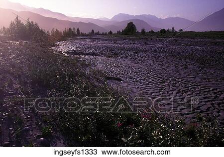 Mudflats Along Copper River in Alaska View Large Photo Image Stock Image - Mudflats Along Copper River in Alaska. Fotosearch